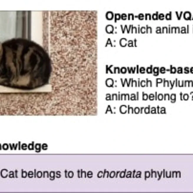 A Multi-Stage Vision-Language Framework for Knowledge-based Visual Question Answering